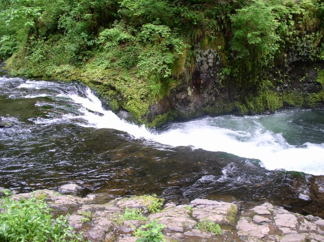 6.03.06 Eagle Creek 033 